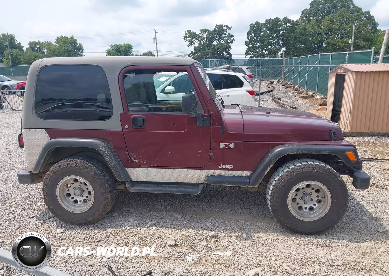 2003 Jeep Wrangler X VIN:1J4FA39S83P304244 - 12