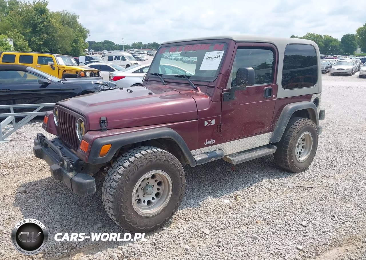 2003 Jeep Wrangler X VIN:1J4FA39S83P304244 - 2