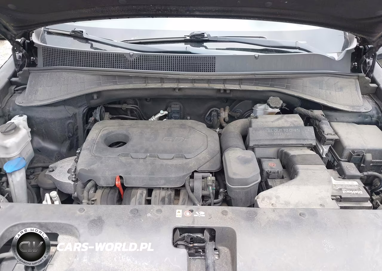 2017 Kia Sorento 2.4L L VIN:5XYPG4A31HG322775 - 10