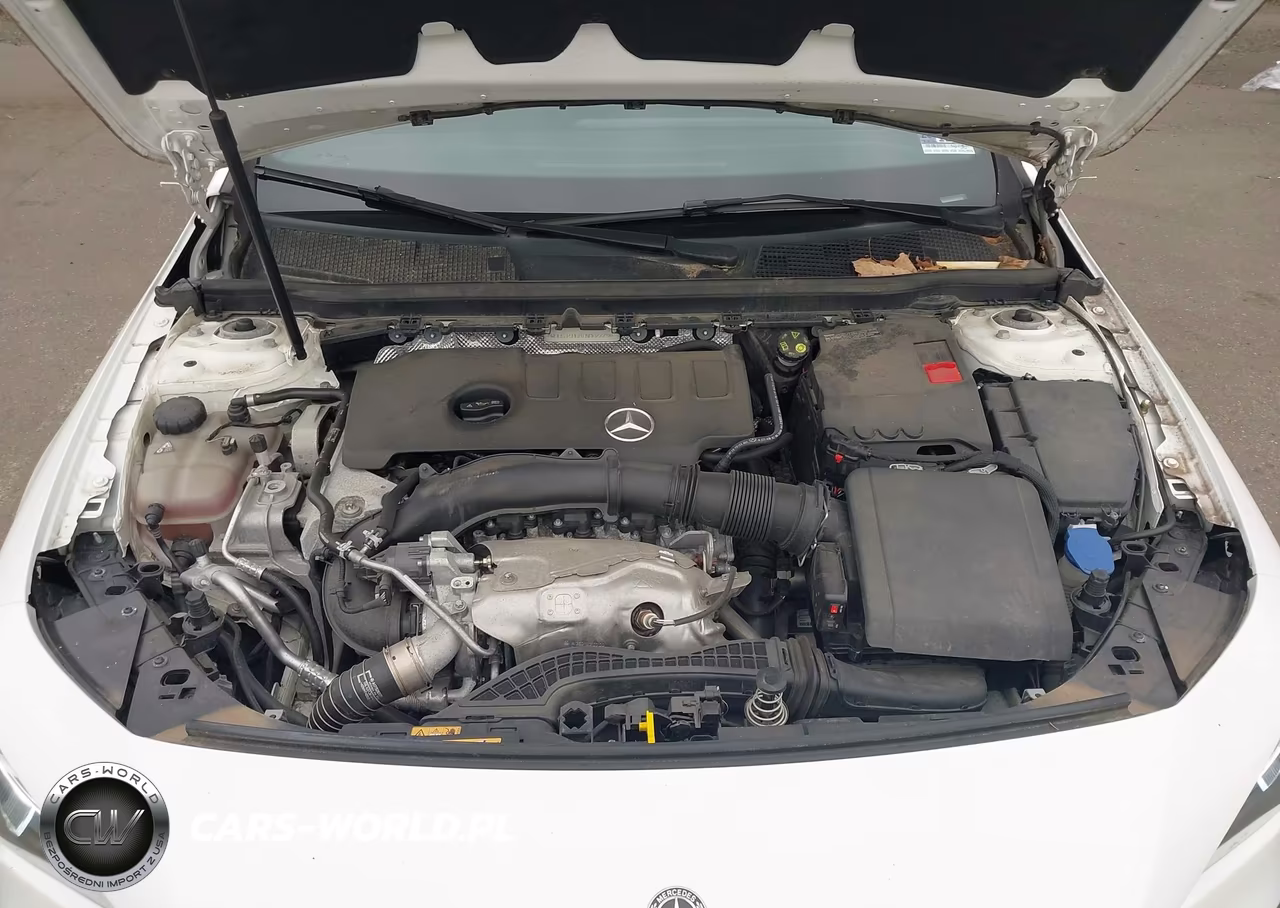 2020 Mercedes-Benz Cla 250 4Matic VIN:WDD5J4HB8LN067779 - 10