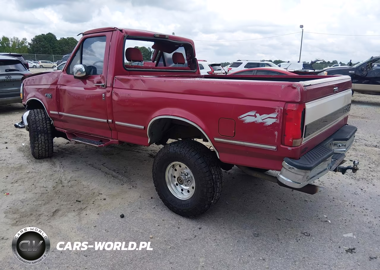 1995 Ford F150 VIN:1FTEF14N3SNB23460 - 3