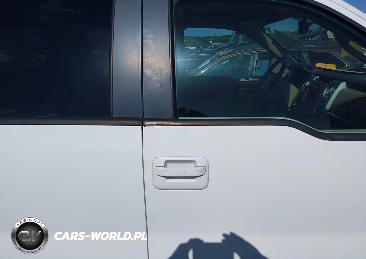 2009 Ford F-150 Fx4-King Ranch-Lariat-Platinum-Xl-Xlt VIN:1FTPW14V79KB36555 - 13