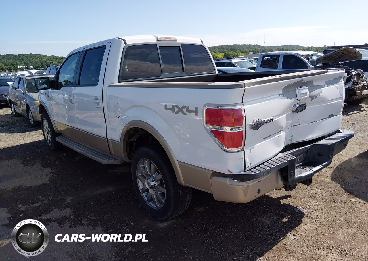 2009 Ford F-150 Fx4-King Ranch-Lariat-Platinum-Xl-Xlt VIN:1FTPW14V79KB36555 - 3
