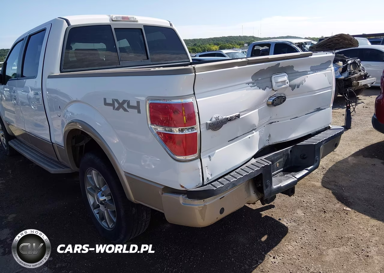 2009 Ford F-150 Fx4-King Ranch-Lariat-Platinum-Xl-Xlt VIN:1FTPW14V79KB36555 - 6