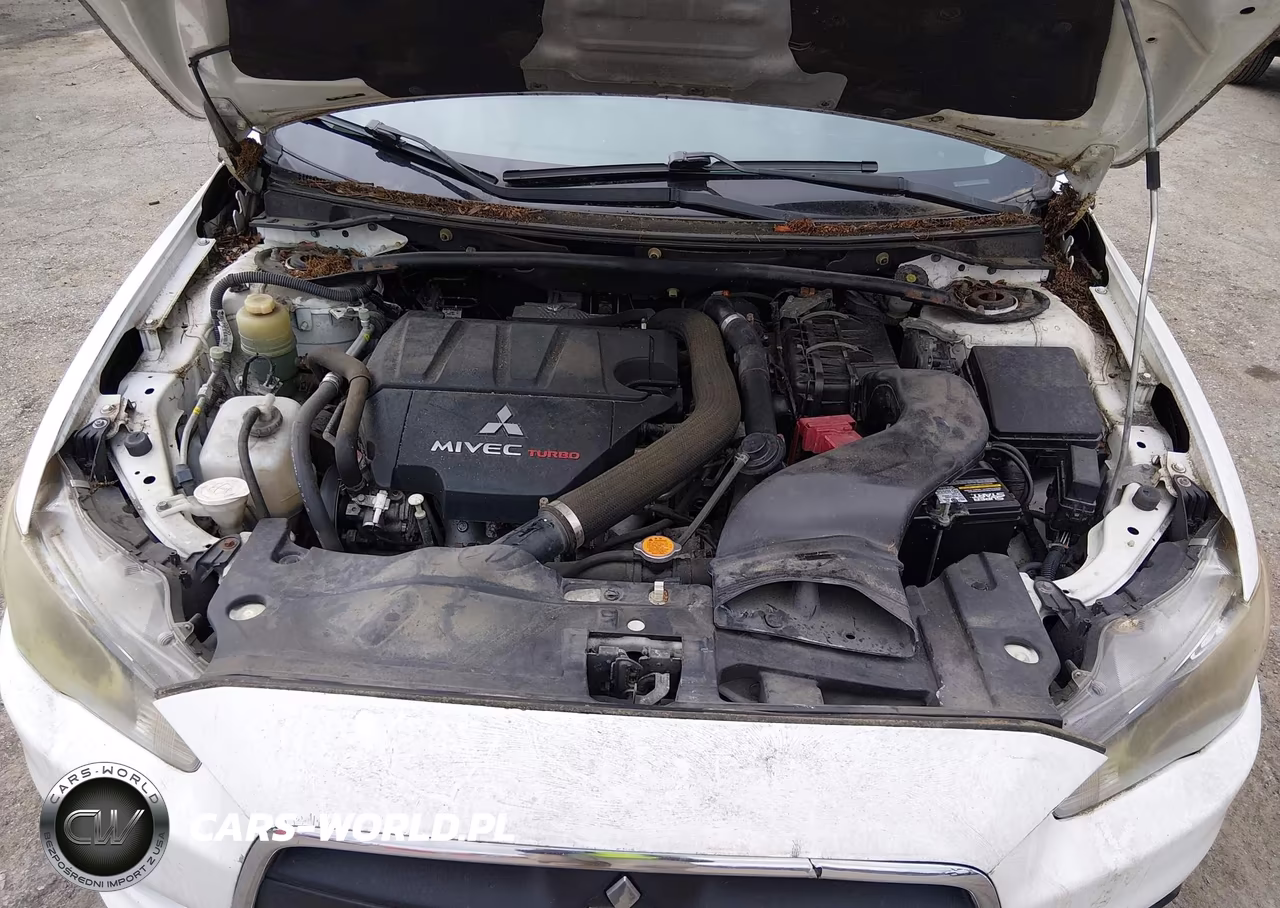 2011 Mitsubishi Lancer Ralliart VIN:JA32V6FV0BU021568 - 10