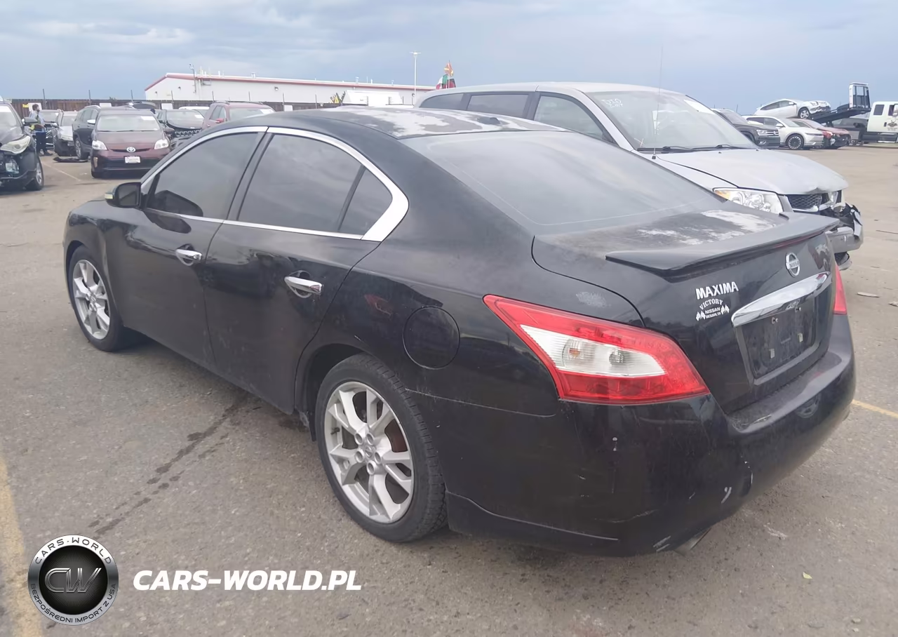 2009 Nissan Maxima 3.5 Sv VIN:1N4AA51E99C855774 - 3