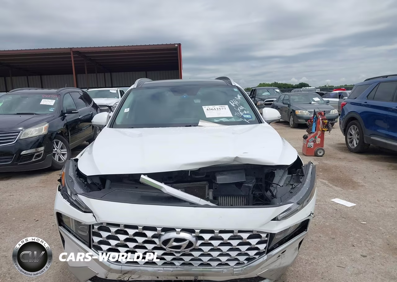 2021 Hyundai Santa Fe Limited VIN:5NMS44AL4MH346409 - 12