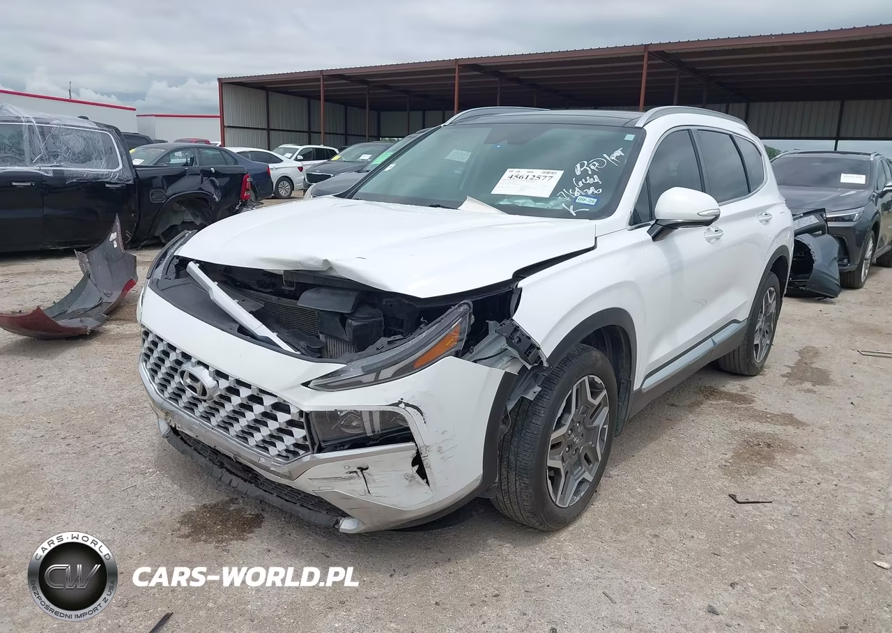 2021 Hyundai Santa Fe Limited VIN:5NMS44AL4MH346409 - 2