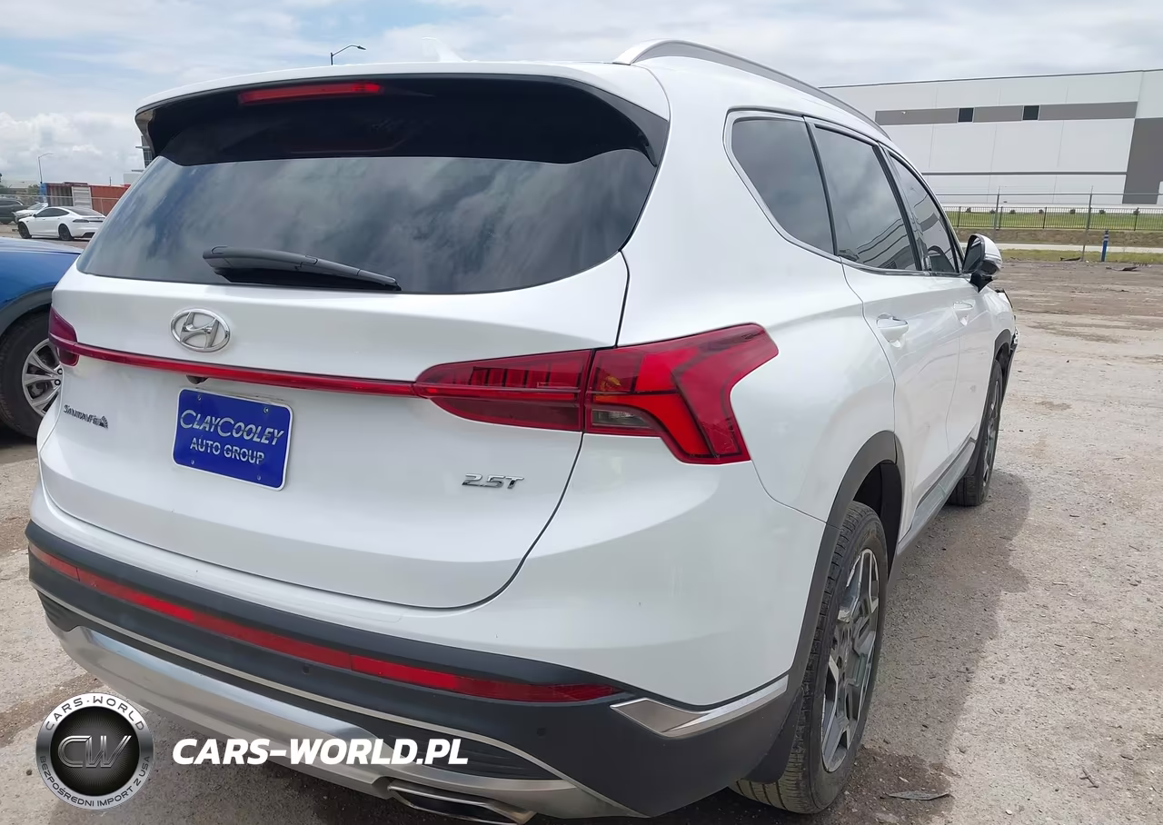 2021 Hyundai Santa Fe Limited VIN:5NMS44AL4MH346409 - 4