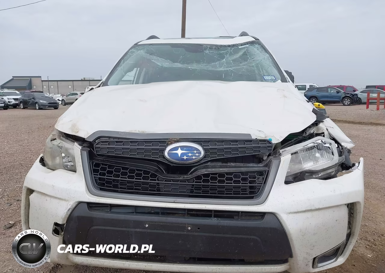 2016 Subaru Forester 2.0Xt Touring VIN:JF2SJGXC9GH419024 - 11