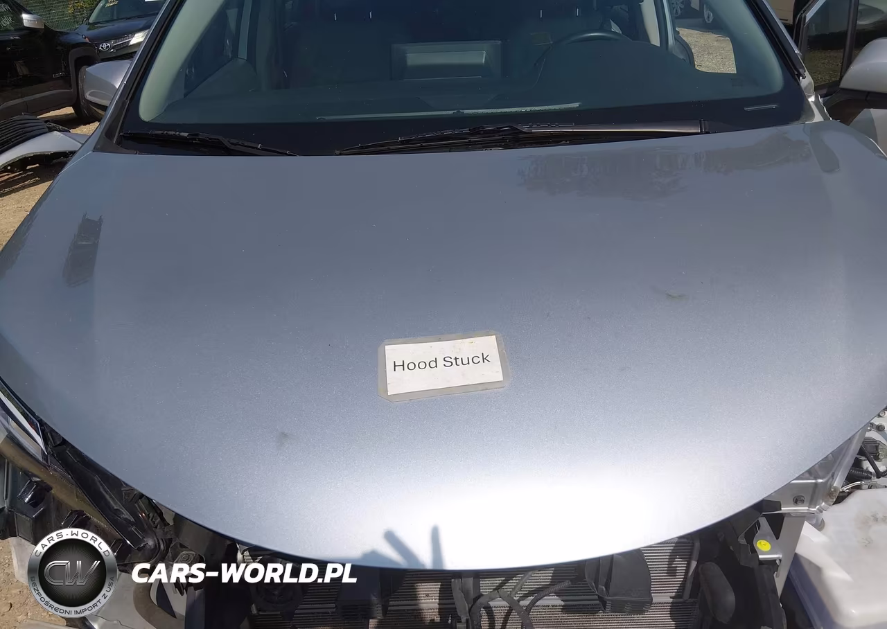 2021 Toyota Sienna Xle VIN:5TDYSKFCXMS001329 - 10