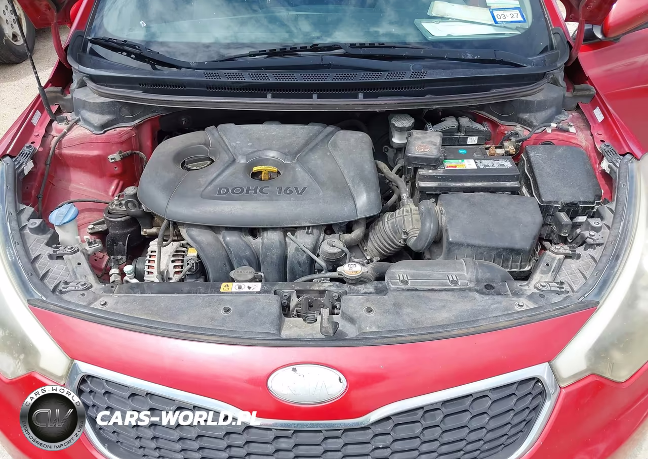 2014 Kia Forte Lx VIN:KNAFX4A62E5093420 - 10