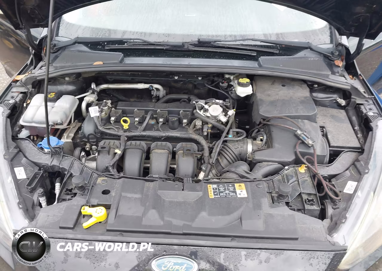2018 Ford Focus Sel VIN:1FADP3M20JL255358 - 10