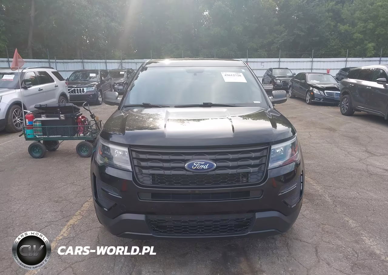 2018 Ford Police Interceptor Utility VIN:1FM5K8AR0JGB93170 - 12