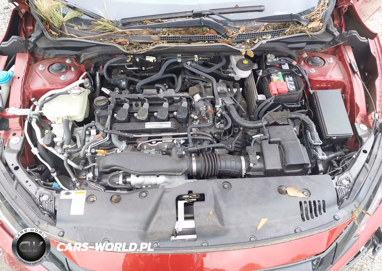 2020 Honda Civic Ex VIN:19XFC1F33LE011918 - 10