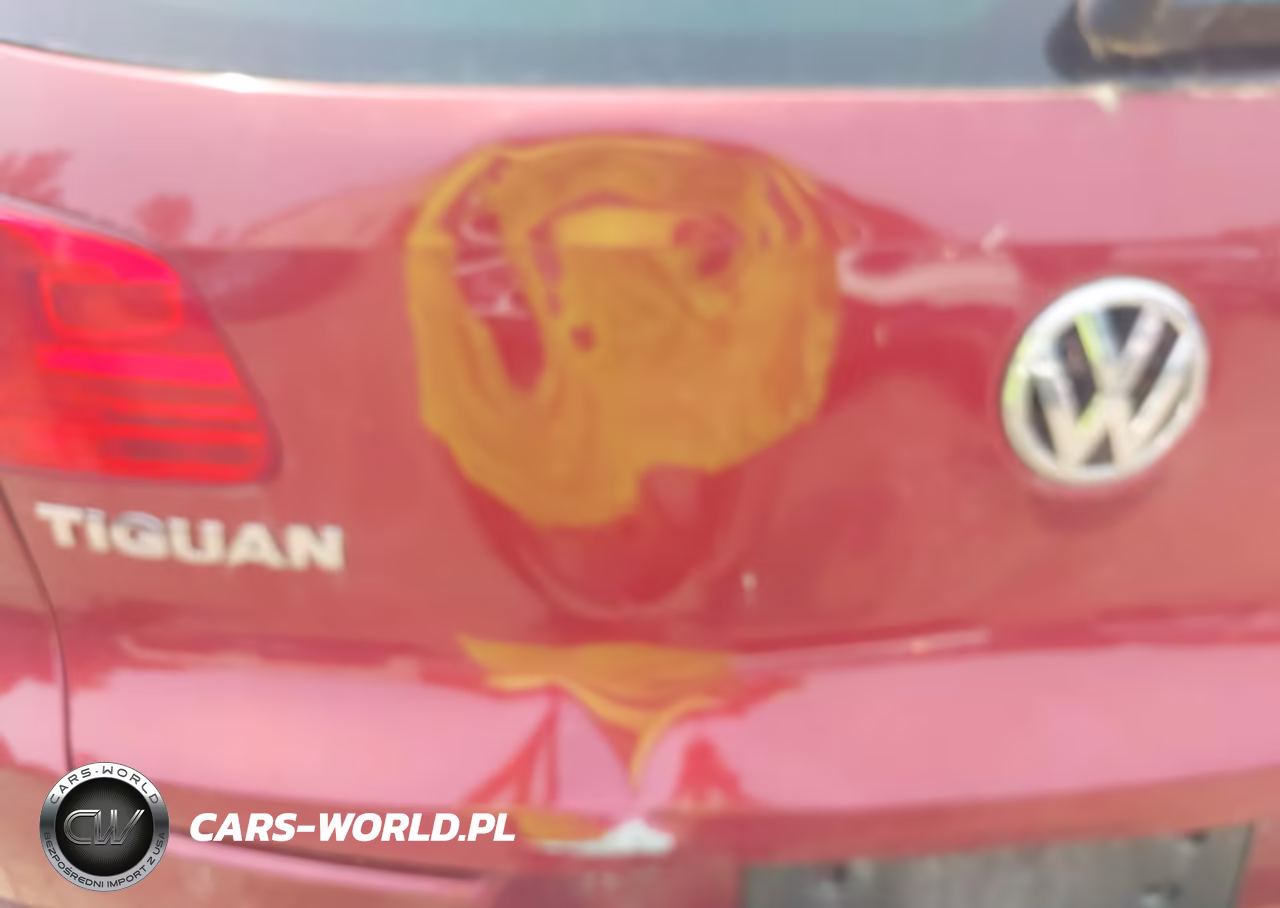 2013 Volkswagen Tiguan Se VIN:WVGBV3AX5DW099212 - 6