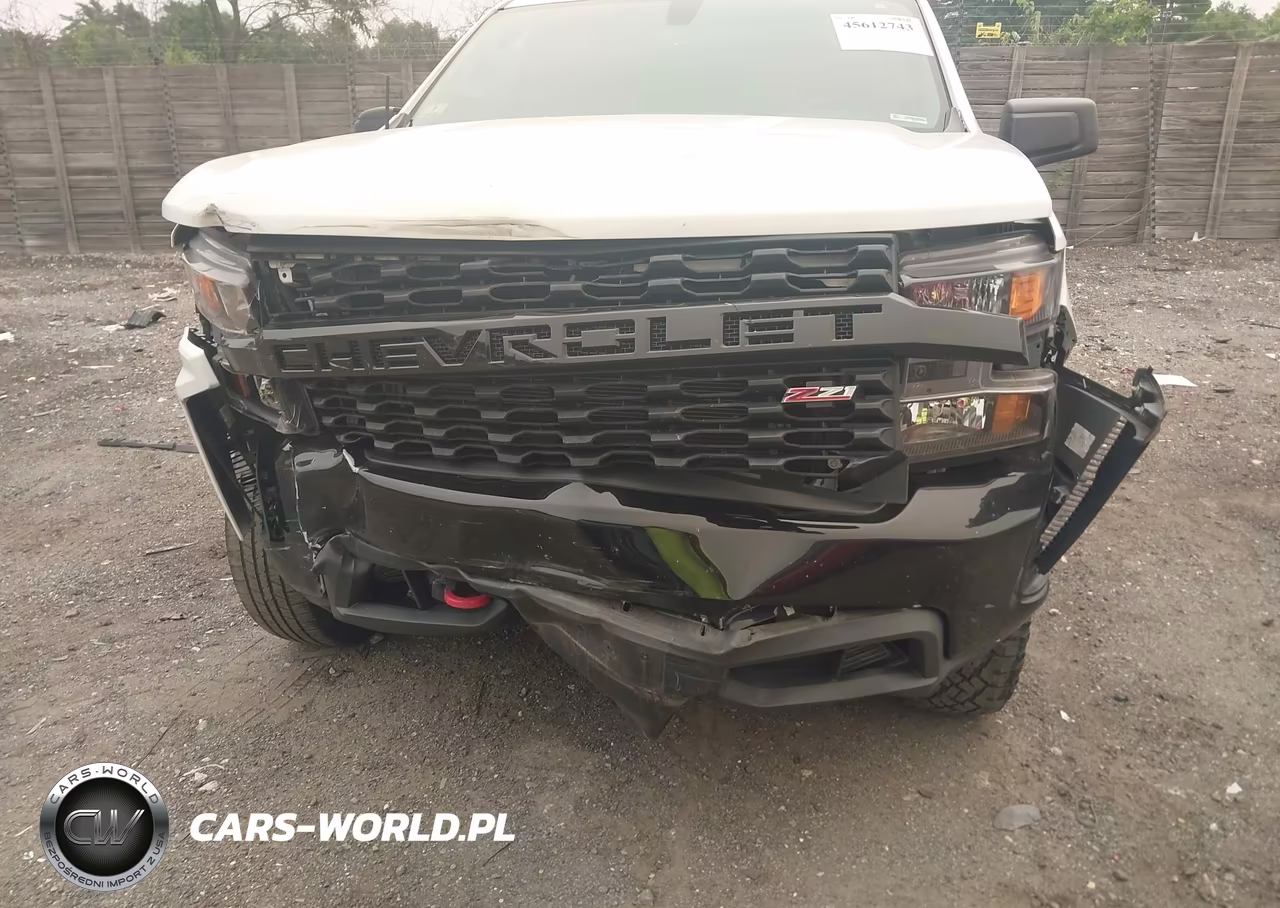 2020 Chevrolet Silverado 1500 4Wd Short Bed Custom Trail Boss VIN:3GCPYCEF2LG234095 - 12