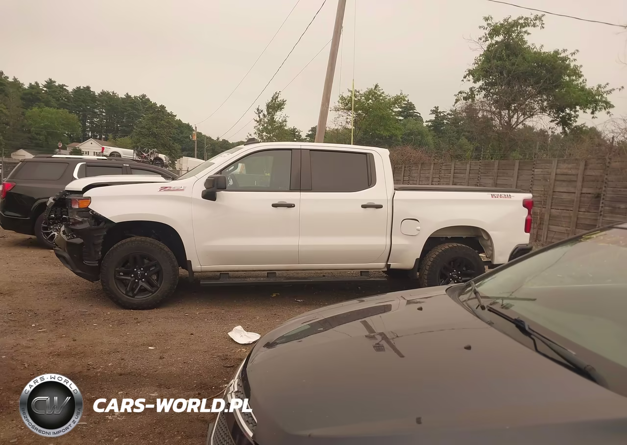 2020 Chevrolet Silverado 1500 4Wd Short Bed Custom Trail Boss VIN:3GCPYCEF2LG234095 - 14