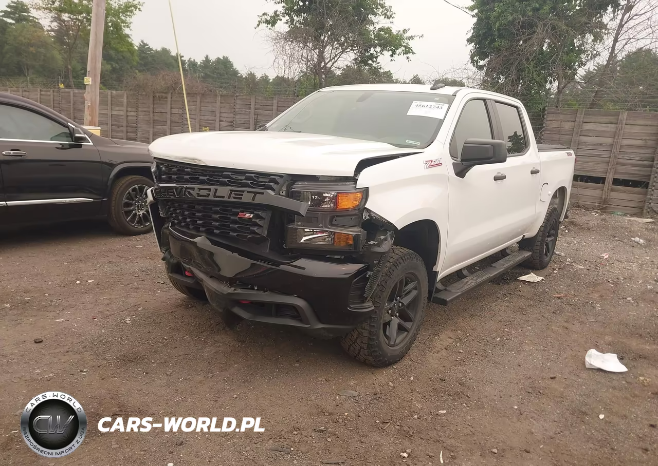 2020 Chevrolet Silverado 1500 4Wd Short Bed Custom Trail Boss VIN:3GCPYCEF2LG234095 - 2