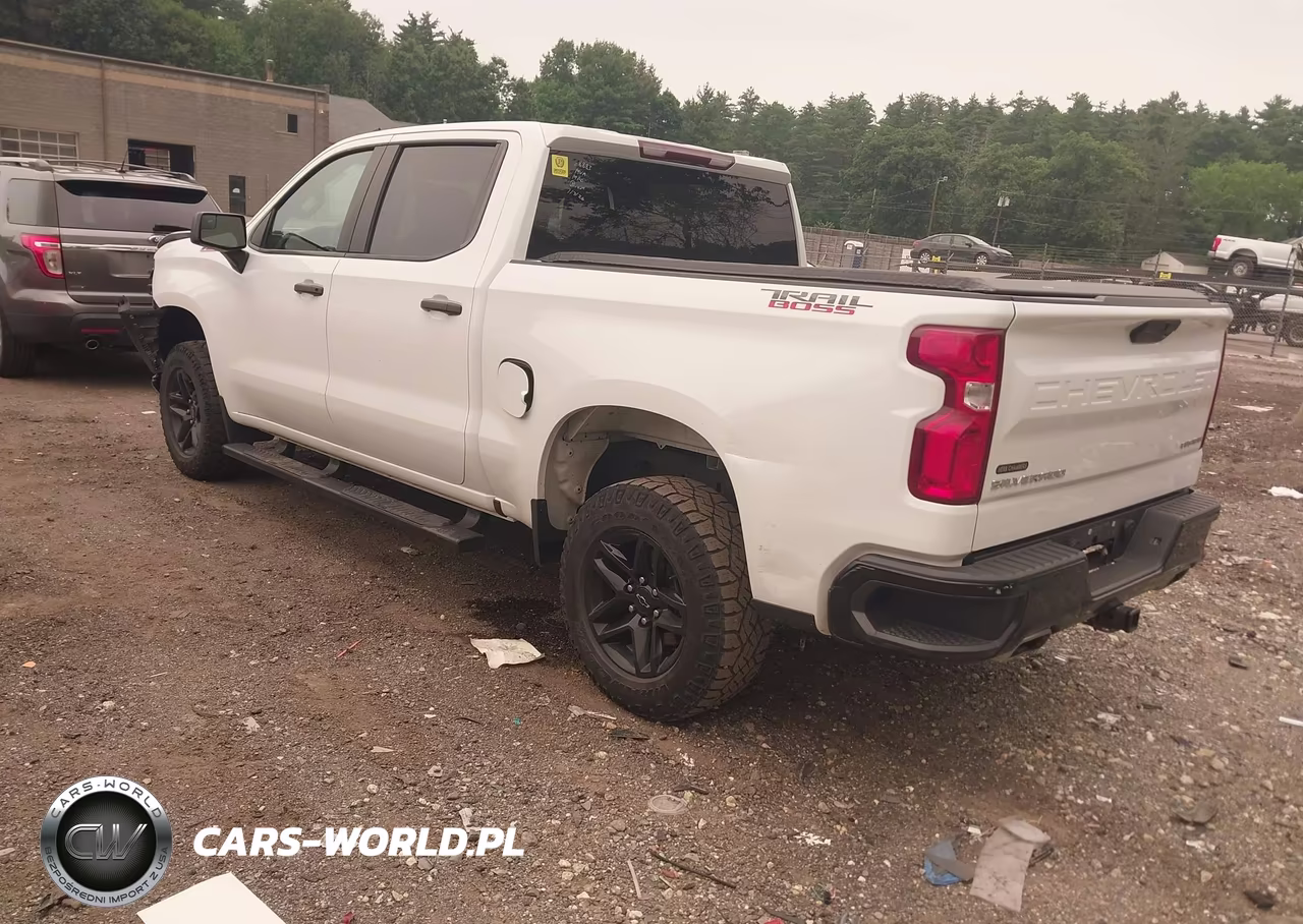2020 Chevrolet Silverado 1500 4Wd Short Bed Custom Trail Boss VIN:3GCPYCEF2LG234095 - 3
