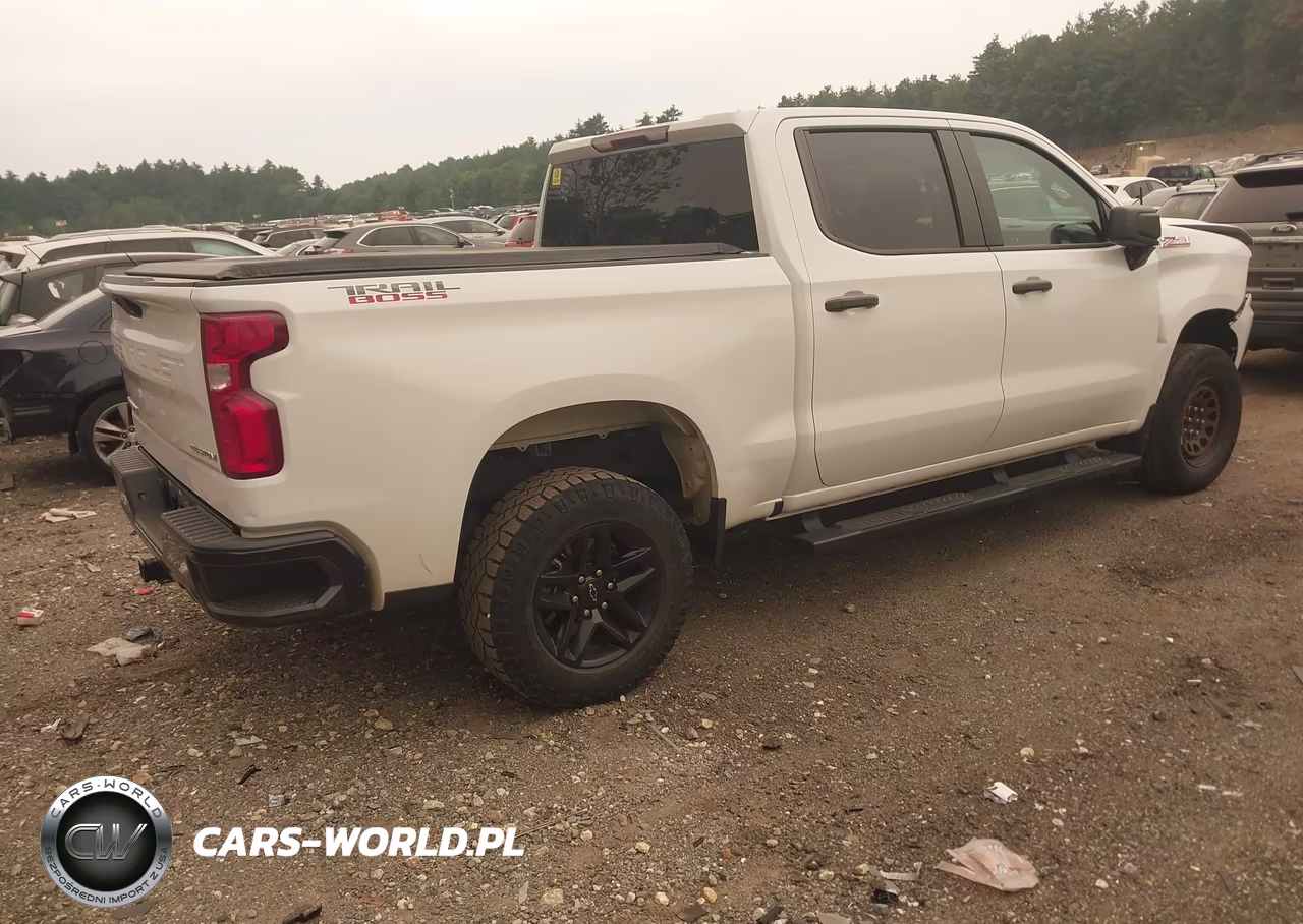 2020 Chevrolet Silverado 1500 4Wd Short Bed Custom Trail Boss VIN:3GCPYCEF2LG234095 - 4