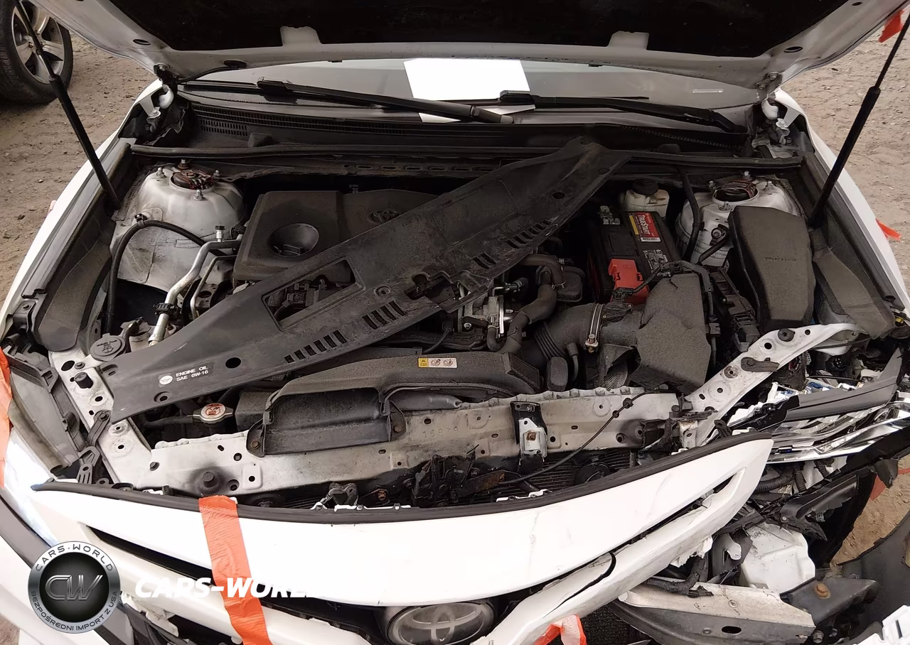 2018 Toyota Camry Xse VIN:4T1B61HK2JU049189 - 10