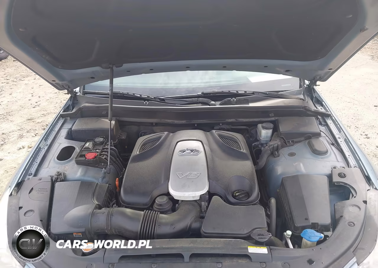 2009 Hyundai Genesis 4.6 VIN:KMHGC46F59U058521 - 10