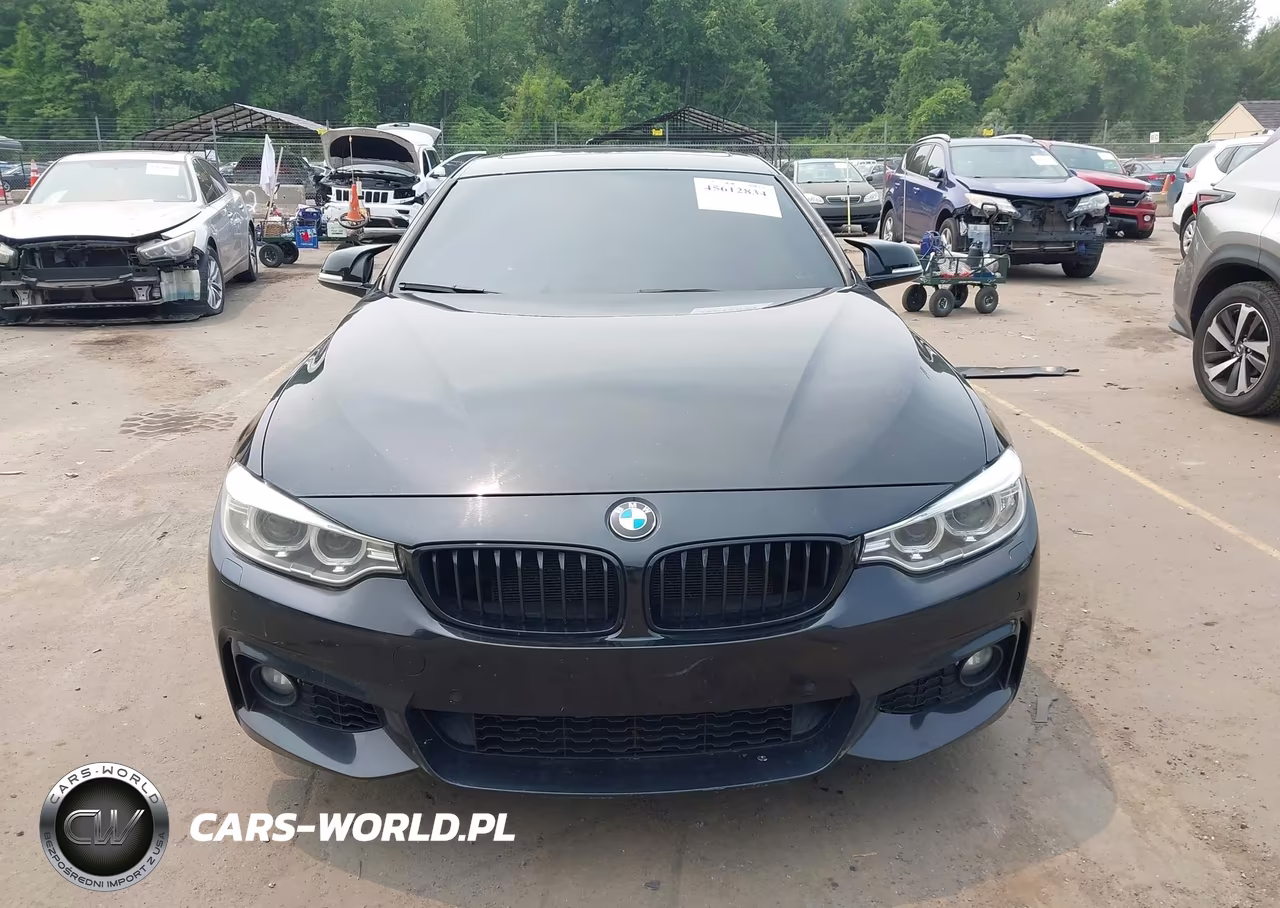 2017 BMW 430I Gran Coupe xDrive VIN:WBA4F9C30HG812084 - 12