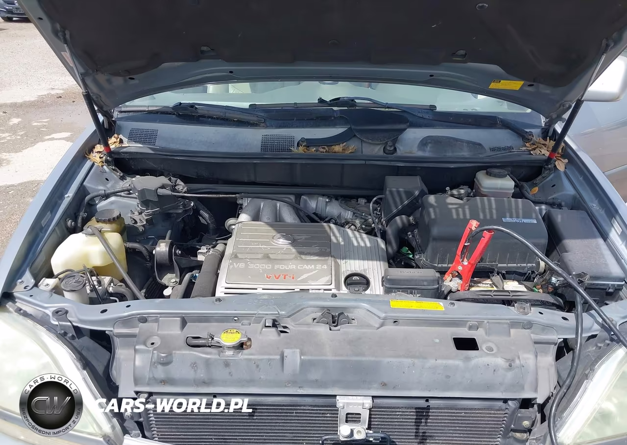 2002 Lexus Rx 300 VIN:JTJGF10U820131697 - 10