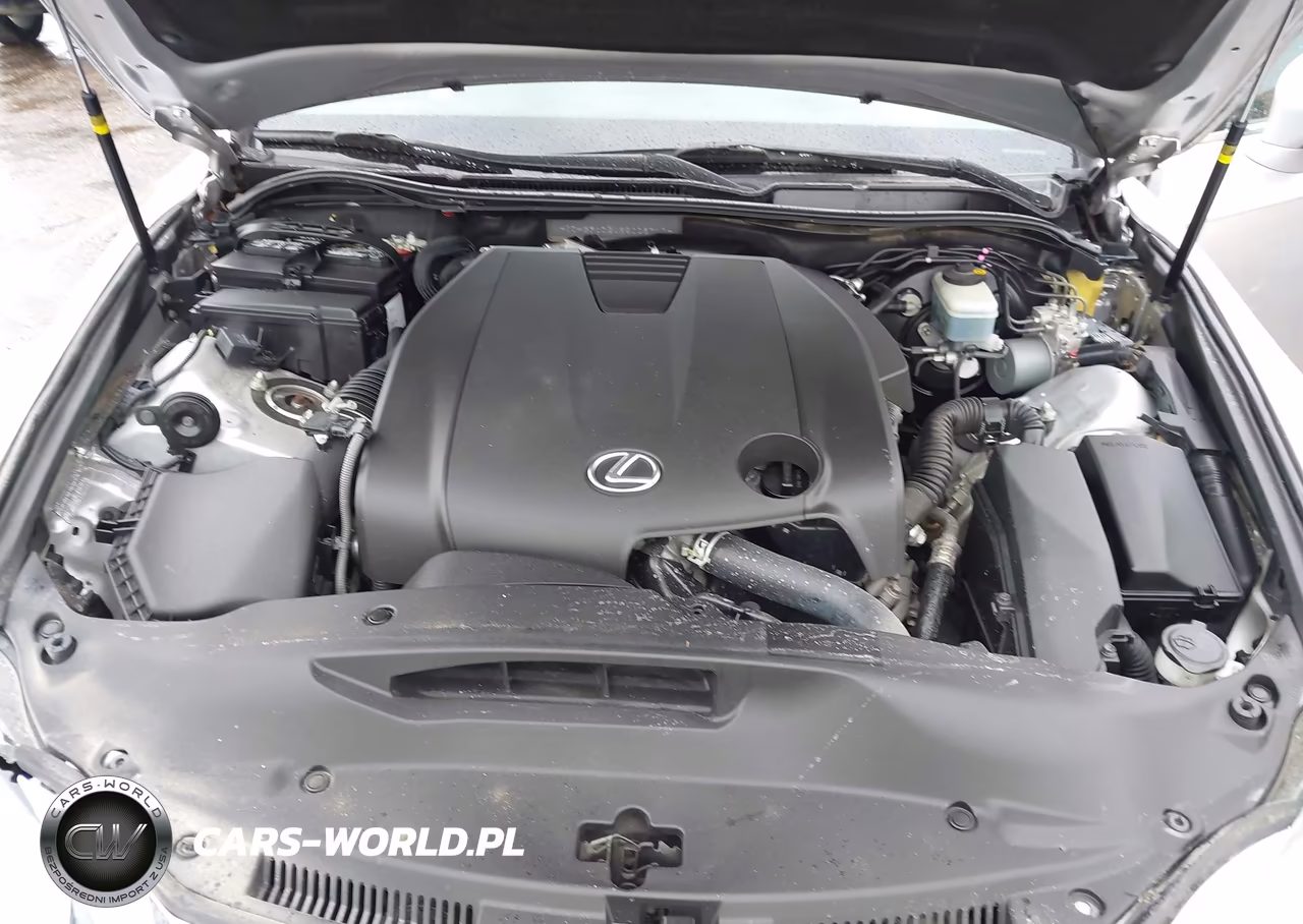 2014 Lexus Is 250 VIN:JTHBF1D21E5008710 - 10