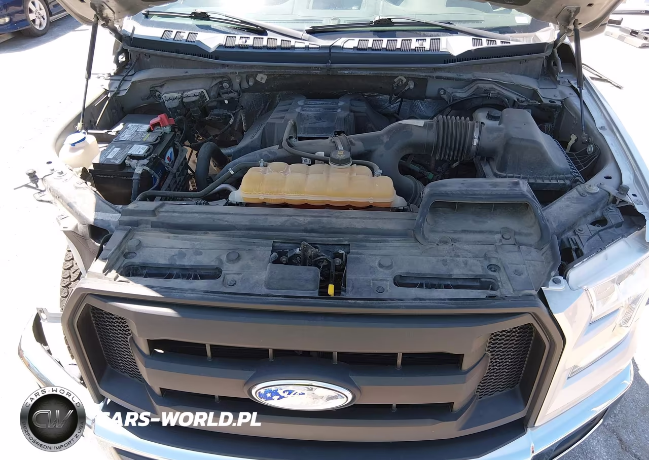 2015 Ford F-150 Xl VIN:1FTEW1EP7FKD48018 - 10