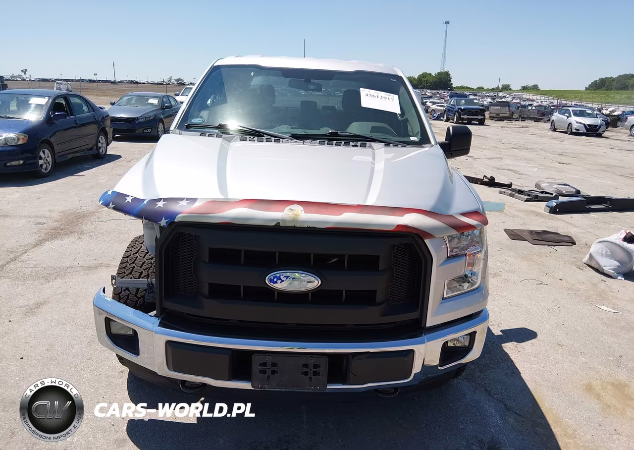 2015 Ford F-150 Xl VIN:1FTEW1EP7FKD48018 - 12
