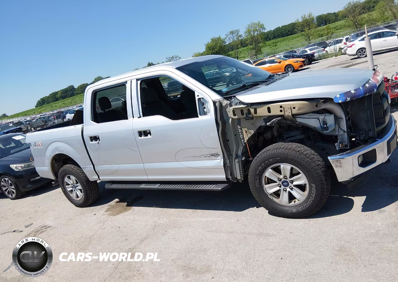 2015 Ford F-150 Xl VIN:1FTEW1EP7FKD48018 - 13