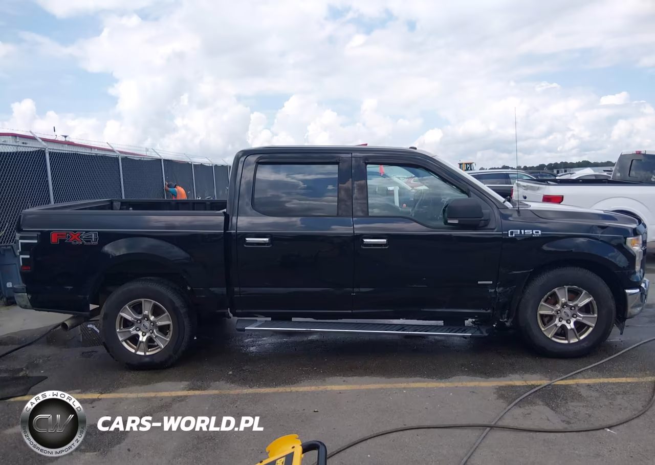 2017 Ford F-150 Xlt VIN:1FTEW1EG2HFC49876 - 13
