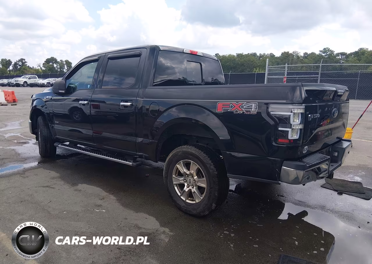 2017 Ford F-150 Xlt VIN:1FTEW1EG2HFC49876 - 3
