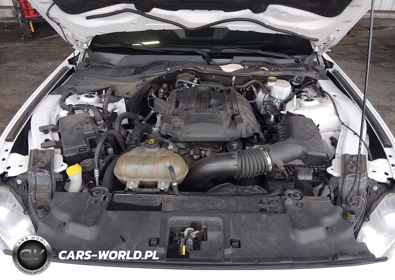 2018 Ford Mustang Ecoboost VIN:1FA6P8TH5J5166563 - 10