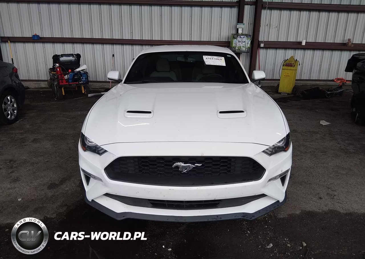 2018 Ford Mustang Ecoboost VIN:1FA6P8TH5J5166563 - 12