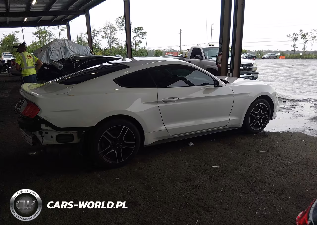 2018 Ford Mustang Ecoboost VIN:1FA6P8TH5J5166563 - 13