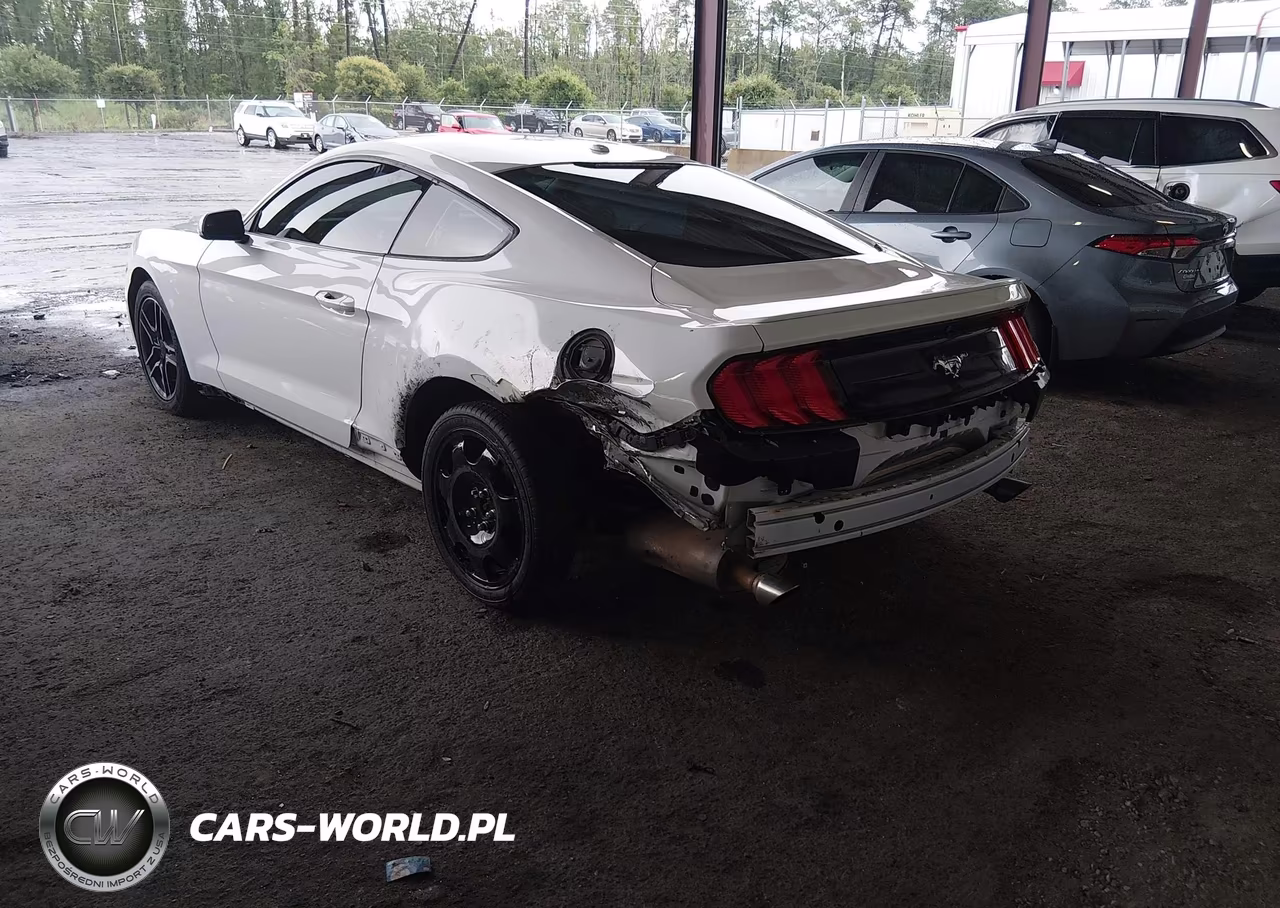 2018 Ford Mustang Ecoboost VIN:1FA6P8TH5J5166563 - 3