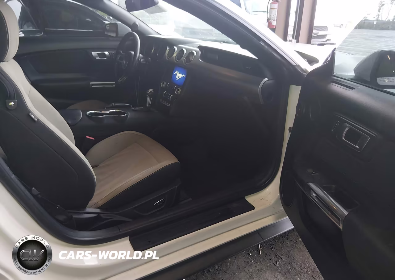 2018 Ford Mustang Ecoboost VIN:1FA6P8TH5J5166563 - 5