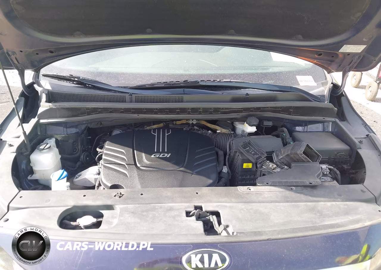 2018 Kia Sedona Sx VIN:KNDMC5C17J6376509 - 10