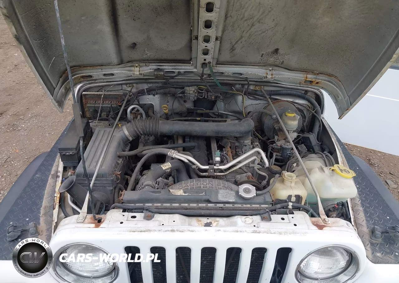 2006 Jeep Wrangler X VIN:1J4FA39S36P737359 - 10
