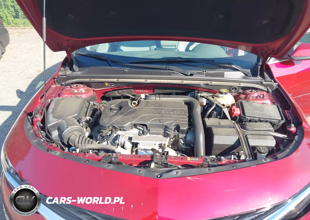 2020 Chevrolet Malibu Fwd Lt VIN:1G1ZD5ST9LF011489 - 10