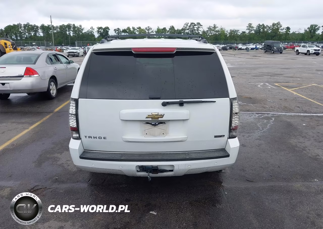 2010 Chevrolet Tahoe Lt VIN:1GNMCBE31AR193545 - 16