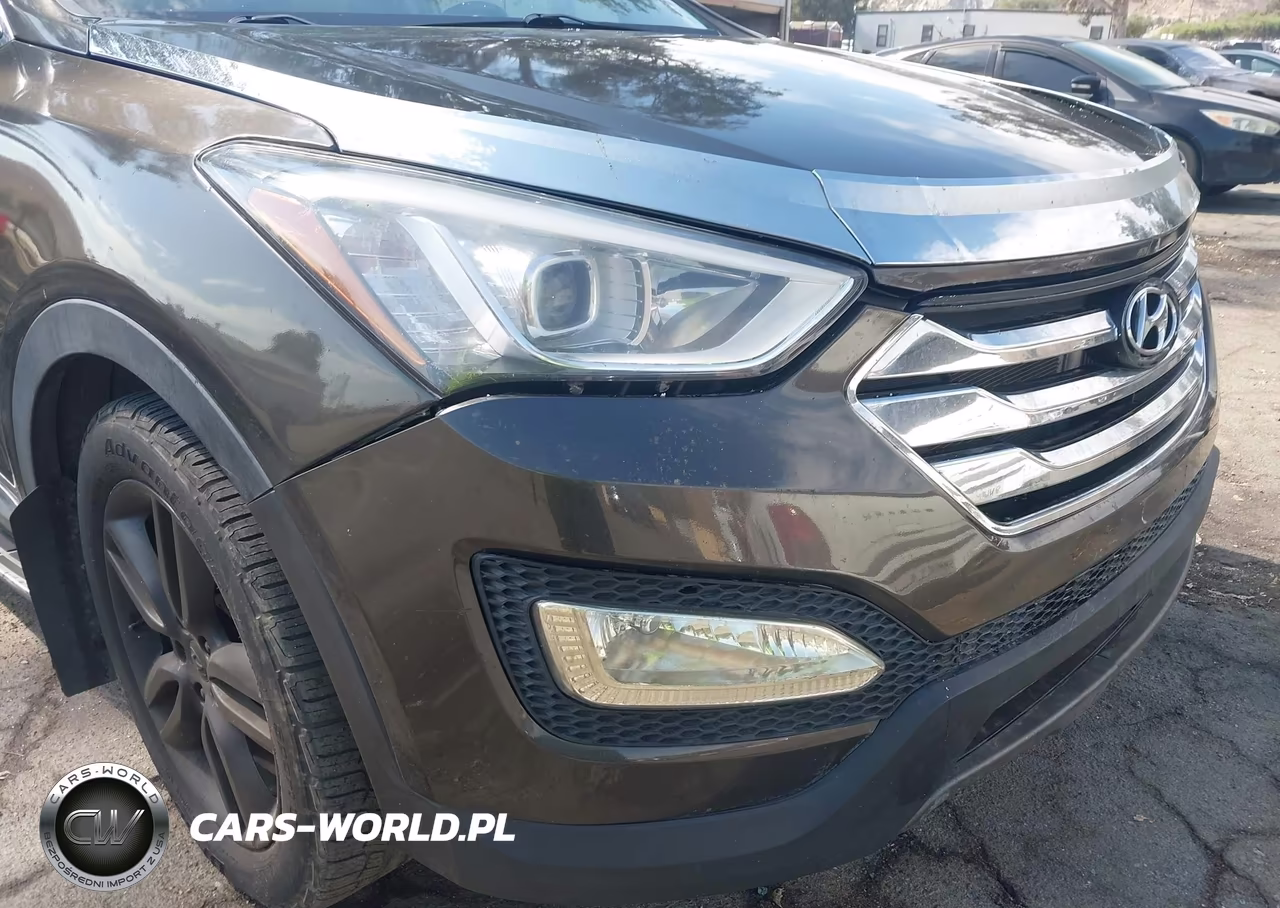 2014 Hyundai Santa Fe Sport 2.0L Turbo VIN:5XYZW3LA6EG196412 - 12