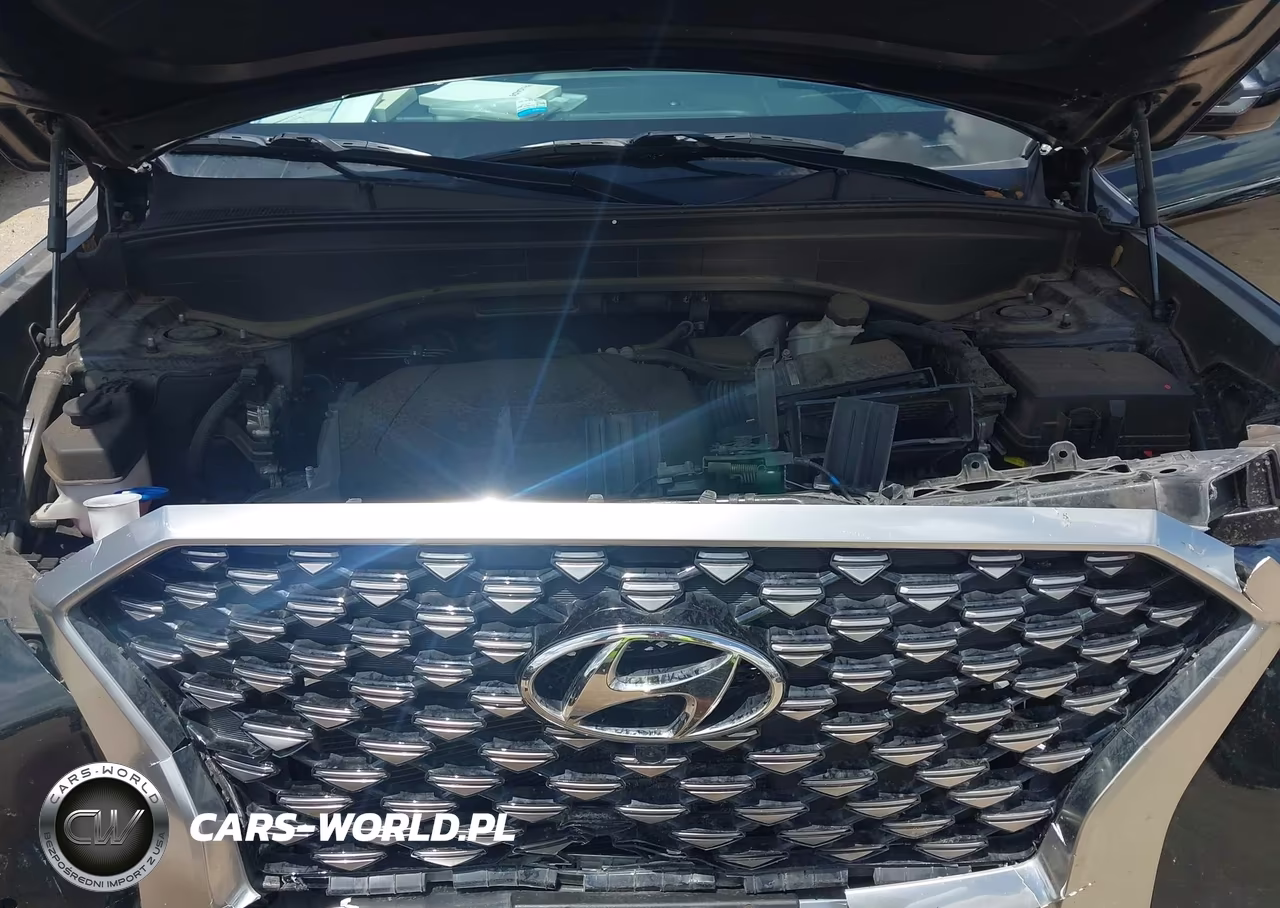 2022 Hyundai Palisade Calligraphy VIN:KM8R74HE0NU365008 - 10
