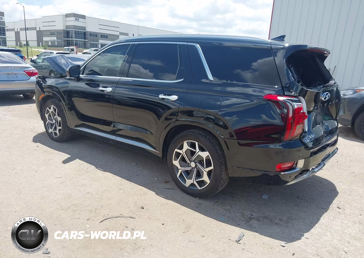 2022 Hyundai Palisade Calligraphy VIN:KM8R74HE0NU365008 - 3