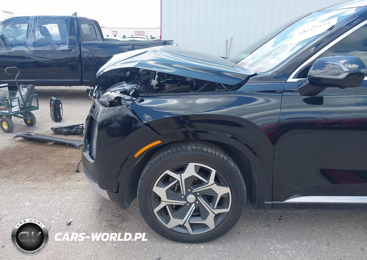 2022 Hyundai Palisade Calligraphy VIN:KM8R74HE0NU365008 - 6