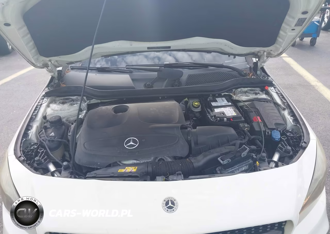 2018 Mercedes-Benz Cla 250 VIN:WDDSJ4EB0JN544631 - 10