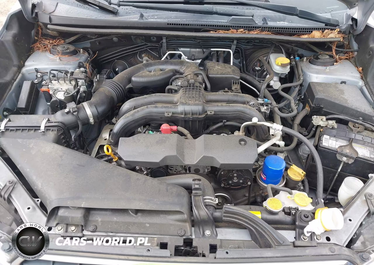 2015 Subaru Xv Crosstrek 2.0I Premium VIN:JF2GPAFC7FH317125 - 10